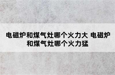 电磁炉和煤气灶哪个火力大 电磁炉和煤气灶哪个火力猛